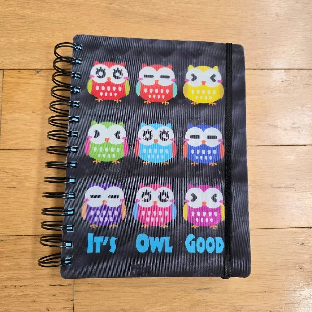 whimsy multicolor 3D lenticular motion owl paper journal spiral notebook